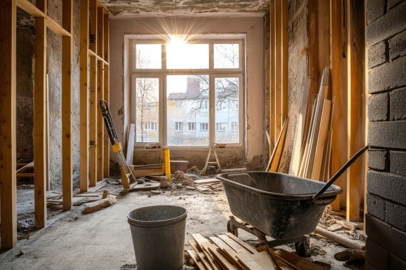 Renovation Framing detail
