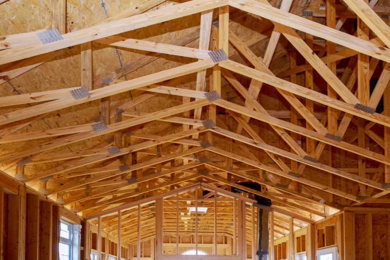 Roof Sheathing Service in Kansas City, KS